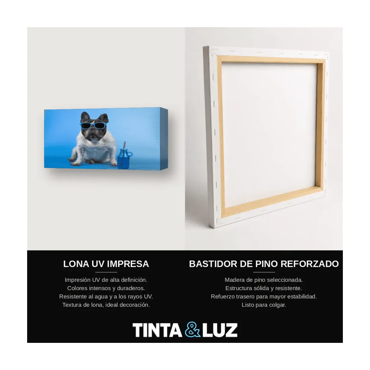 PERRO BLANCO RETRATO