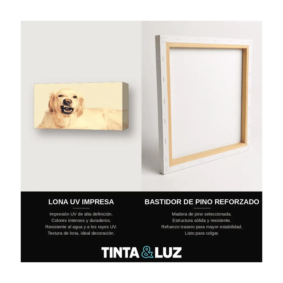 PERRO MESTIZO II