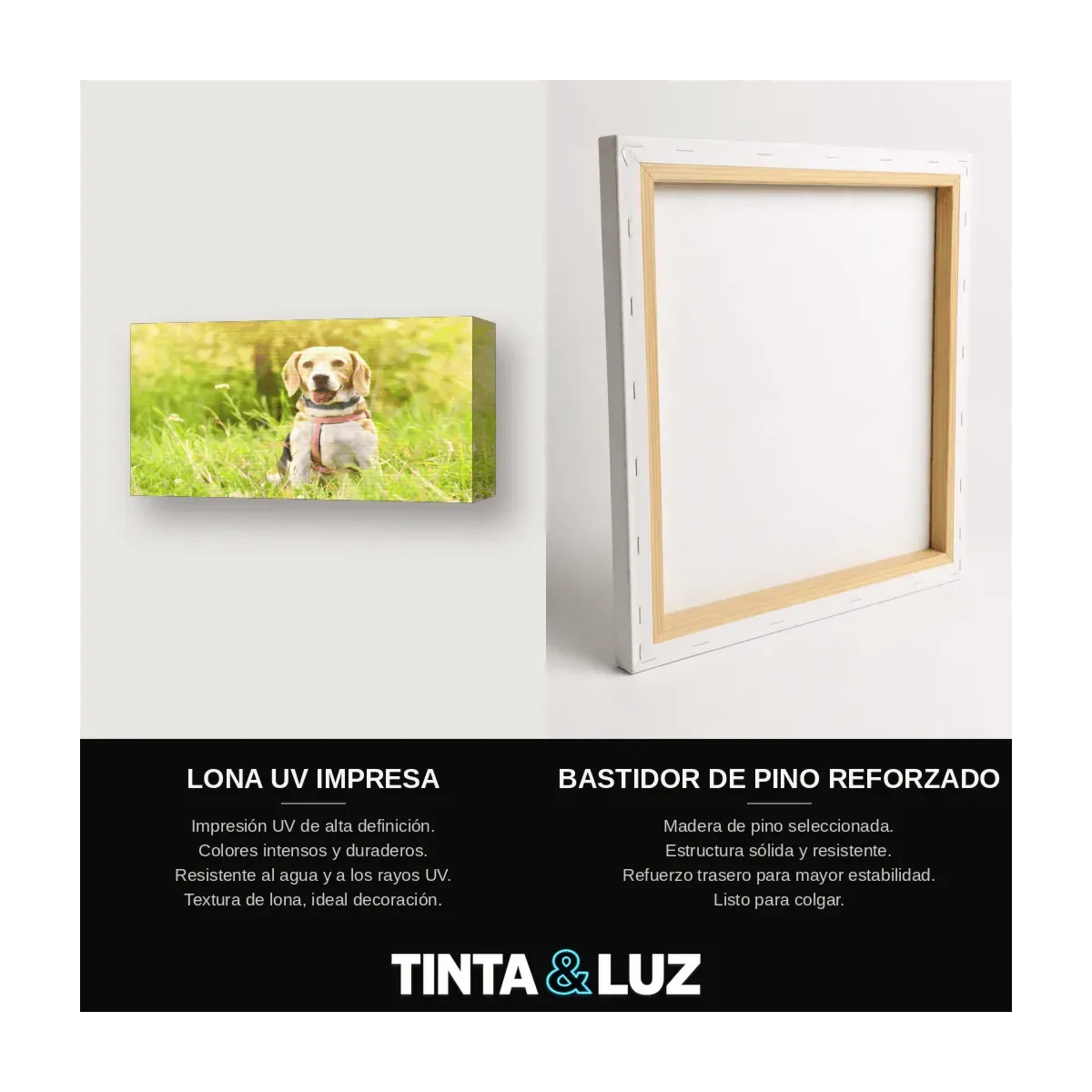 PERRO Y MARIPOSA