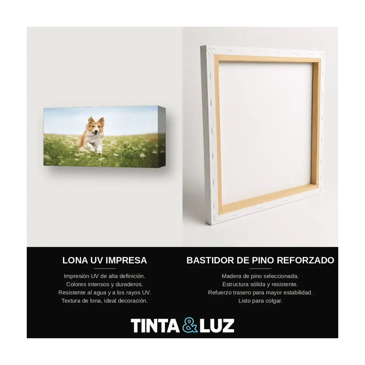 NIÑO Y PERRO