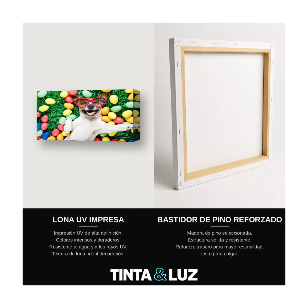 BÓXER SENTADO