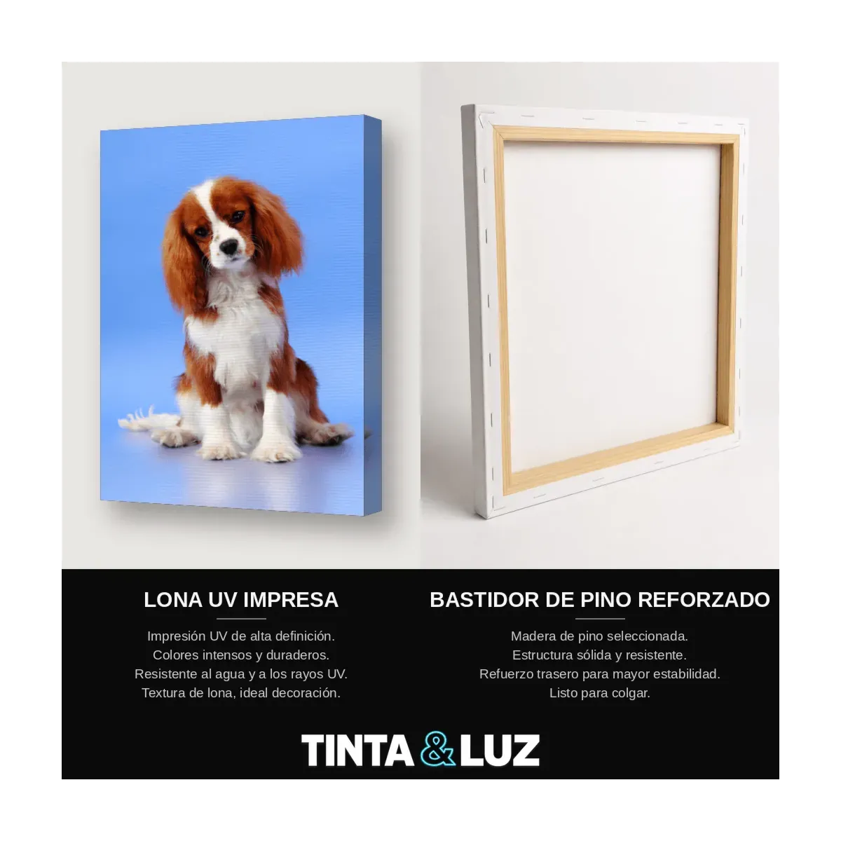 CHIHUAHUA II