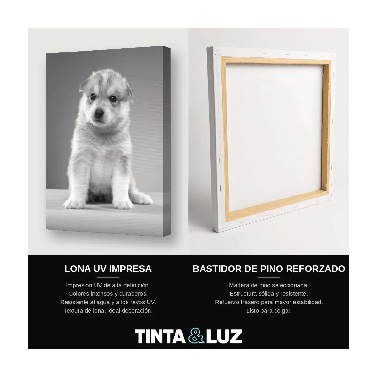 CHIHUAHUA III