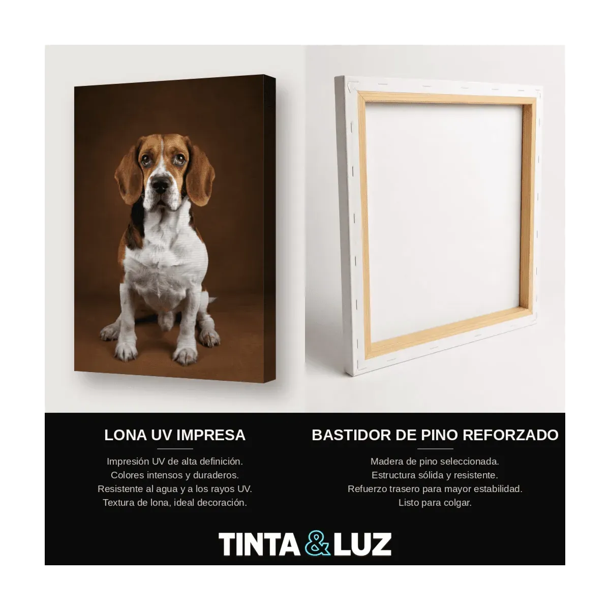 PERRO LENGUA AFUERA