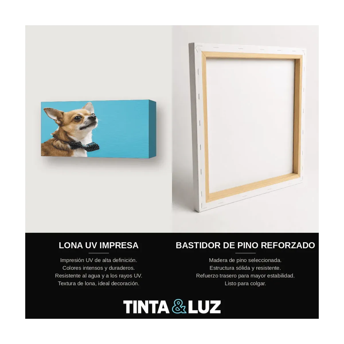 PERRO Y PERIÓDICO