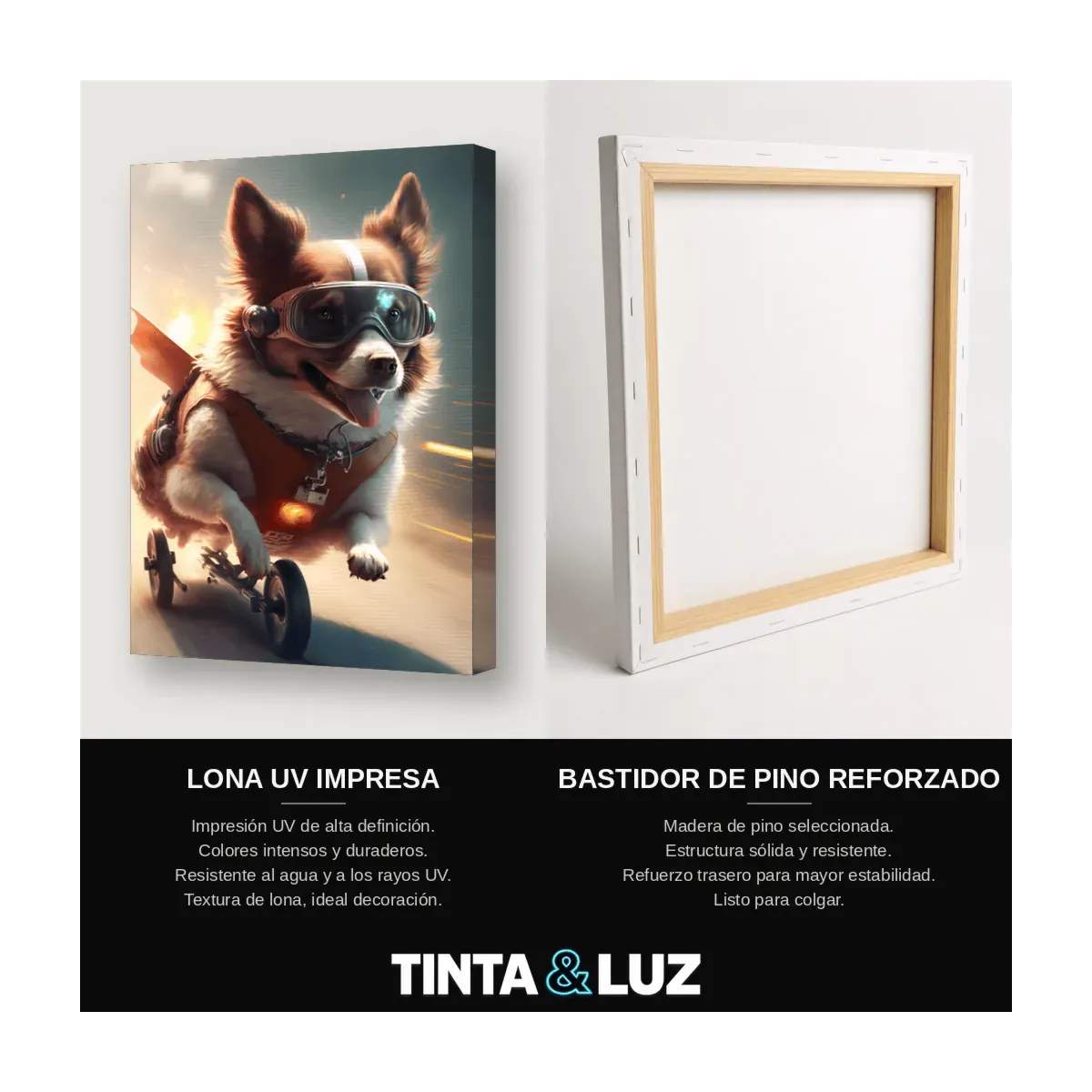 PERRO MÍSTICO