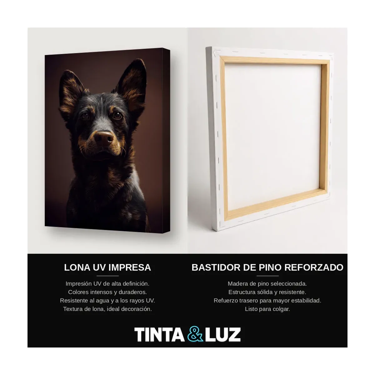 BEAGLE RETRATO