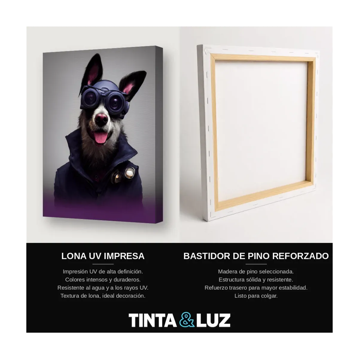 PERRO Y GAFAS NEÓN