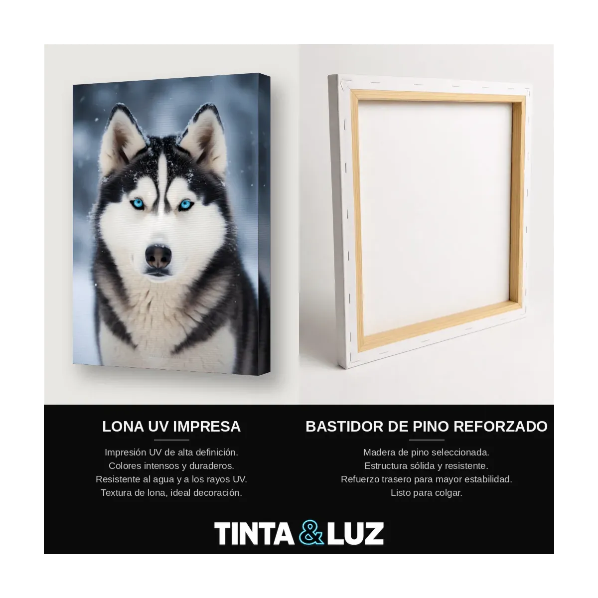 HUSKY OJOS AZULES