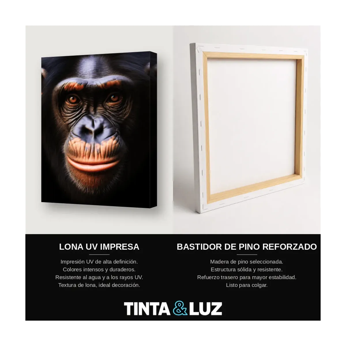 CHIMPANCÉ RETRATO