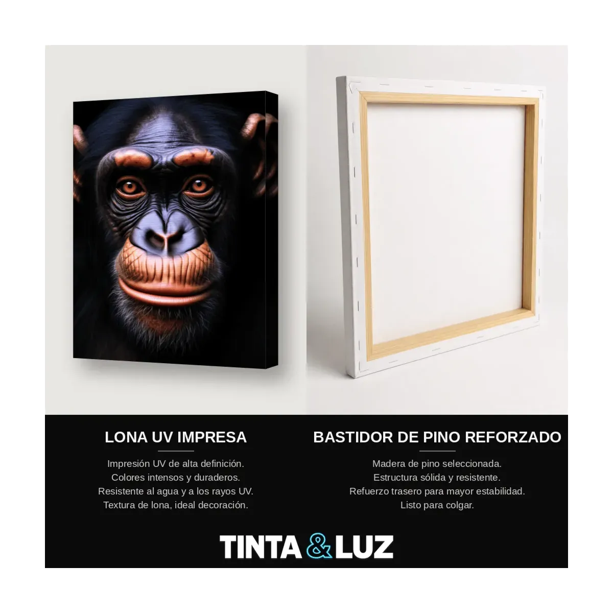 CHIMPANCÉ PENSATIVO