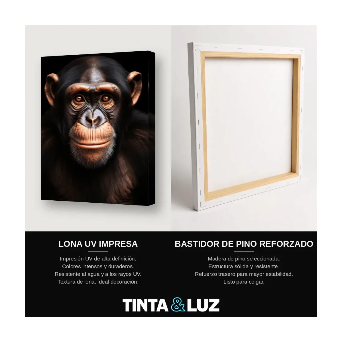 CHIMPANCÉ MIRADA