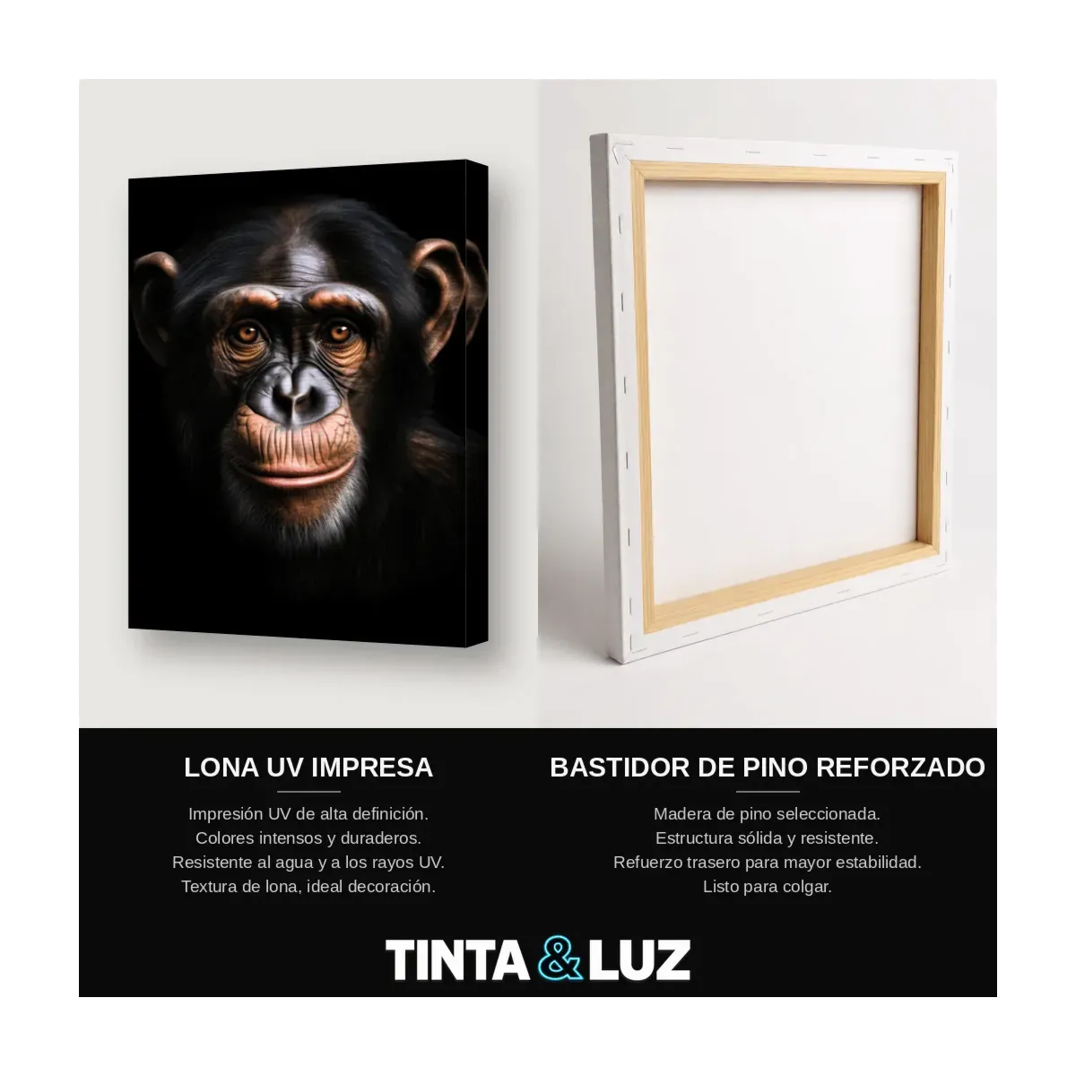 CHIMPANCÉ FRONTAL