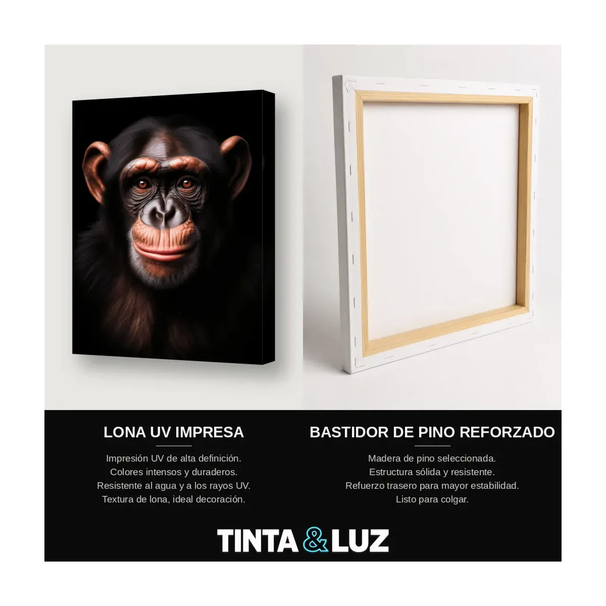 CHIMPANCÉ JOVEN