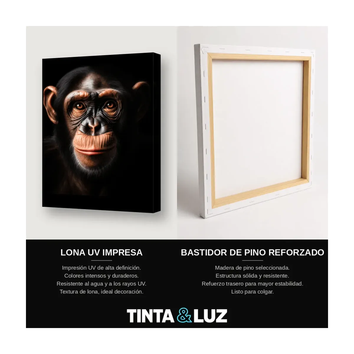 CHIMPANCÉ SERENO