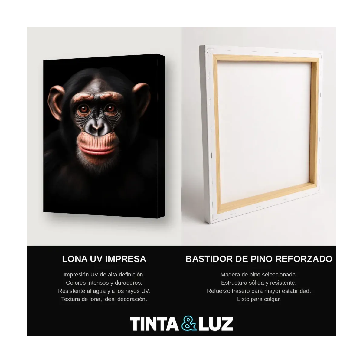CHIMPANCÉ RETRATO II