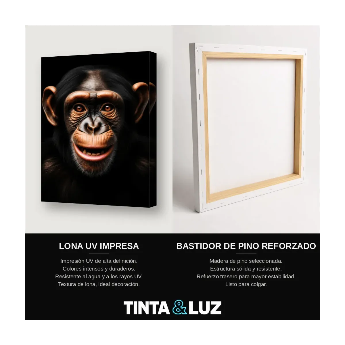 CHIMPANCÉ PENSANTE