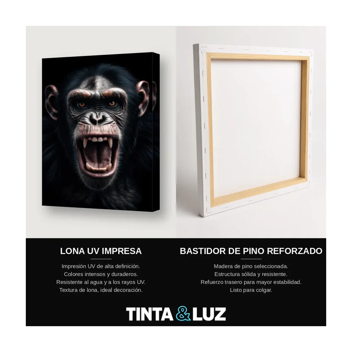 CHIMPANCÉ RIENDO