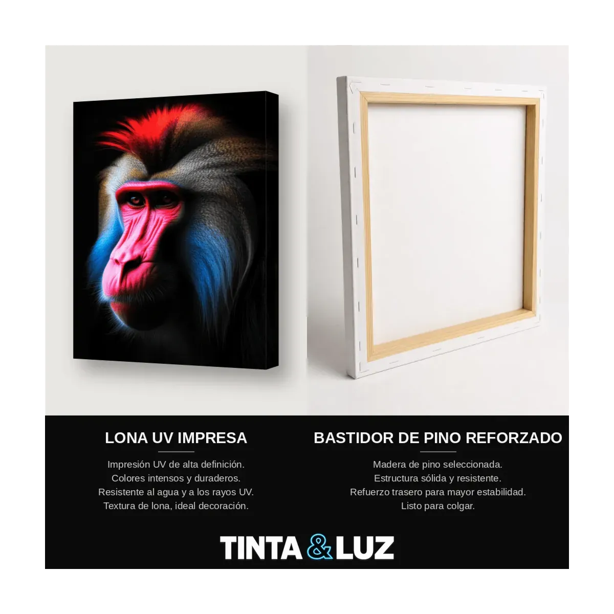 MANDRIL COLORIDO