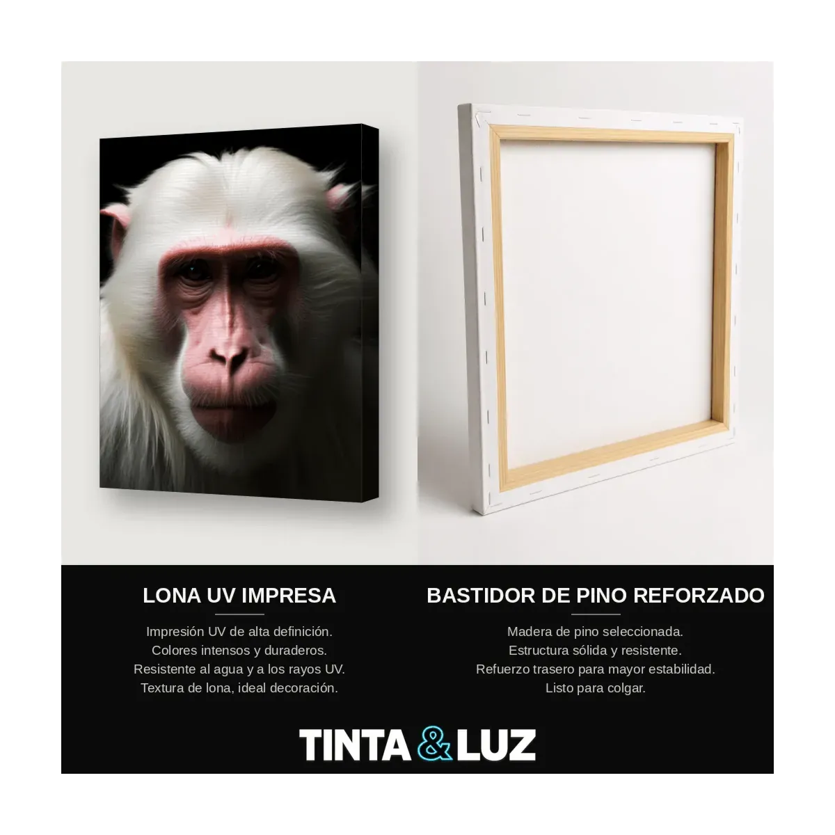 MACACO JAPONÉS