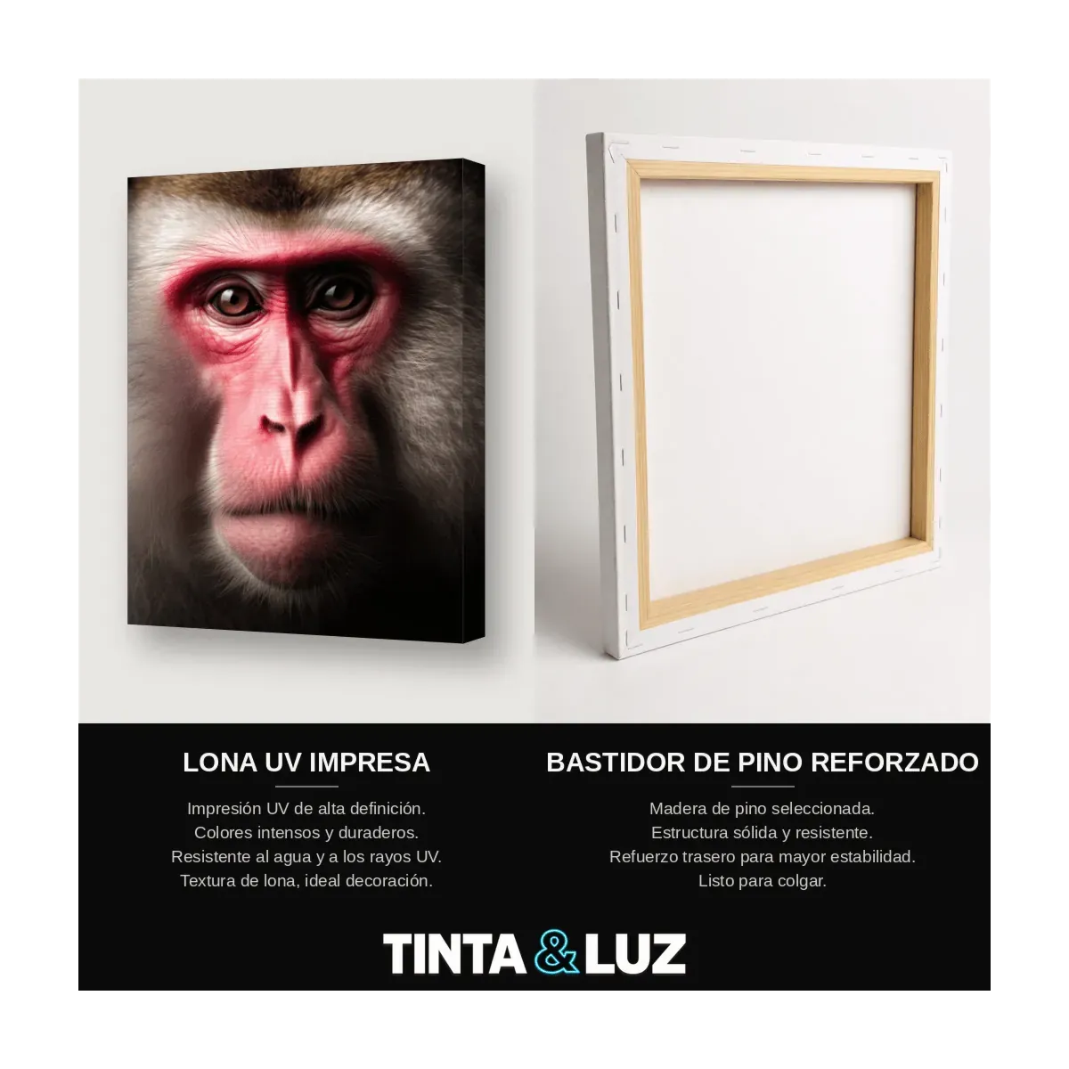 MACACO ROSTRO ROSA