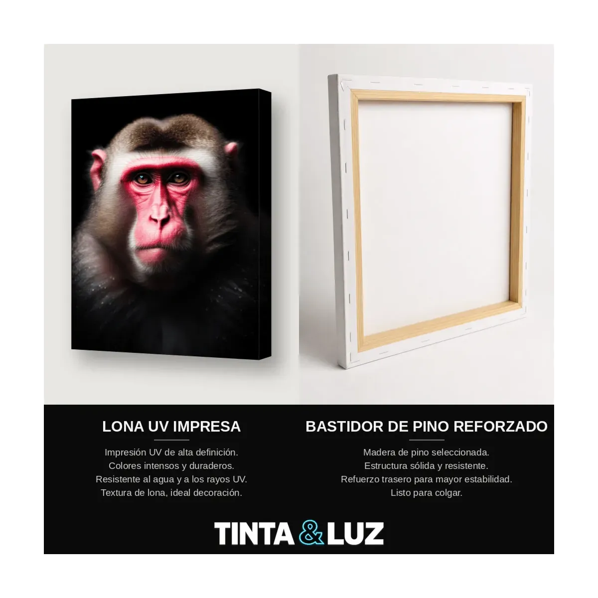 MACACO ROSTRO ROJO