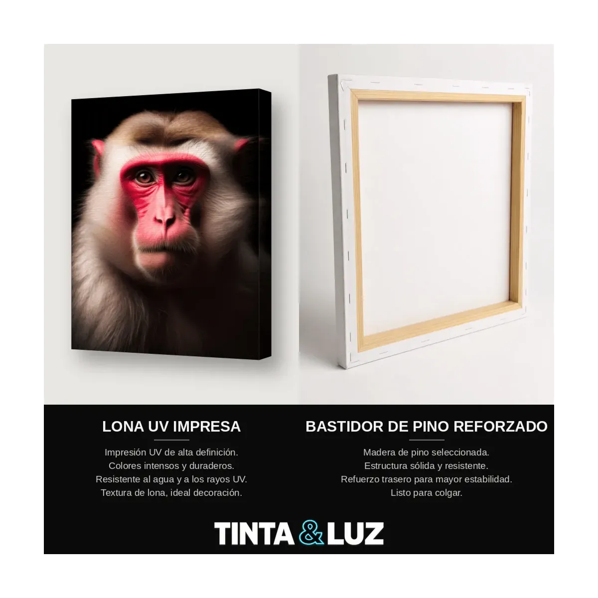 MACACO SERENO