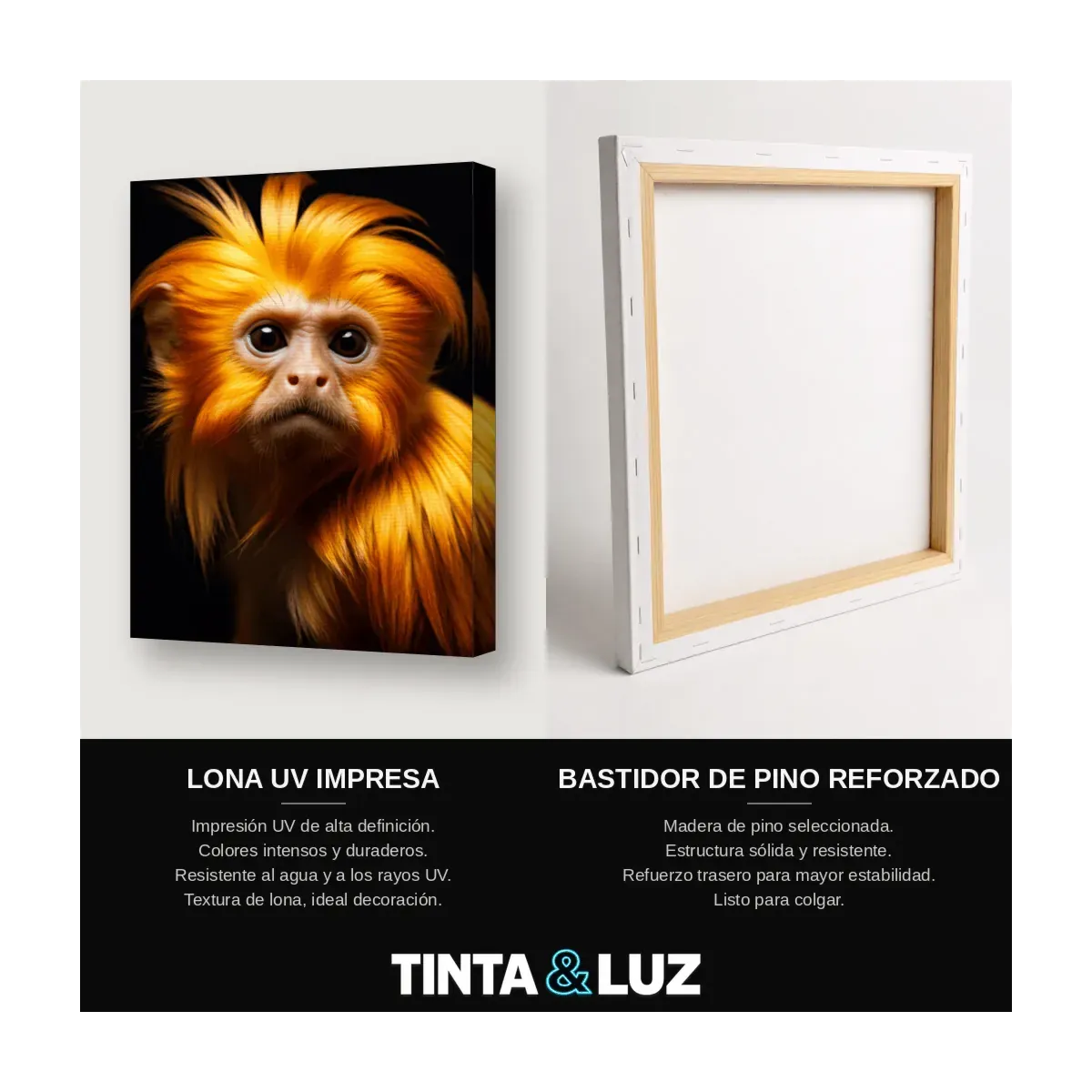 TITÍ LEÓN DORADO
