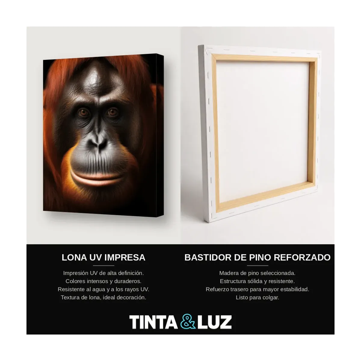ORANGUTÁN RETRATO