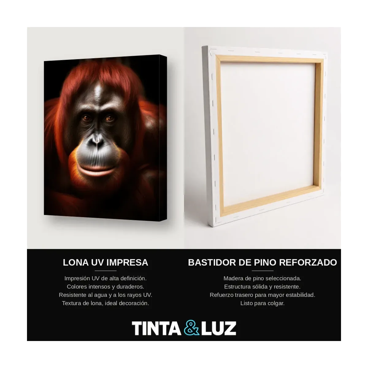 ORANGUTÁN PENSATIVO