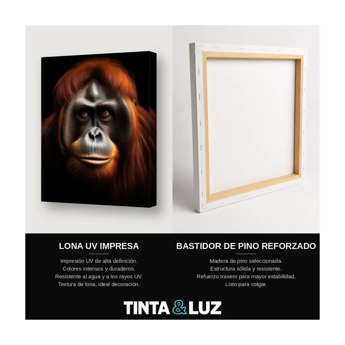 ORANGUTÁN MIRADA