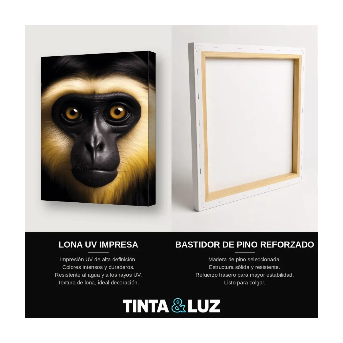MONO ROSTRO NEGRO