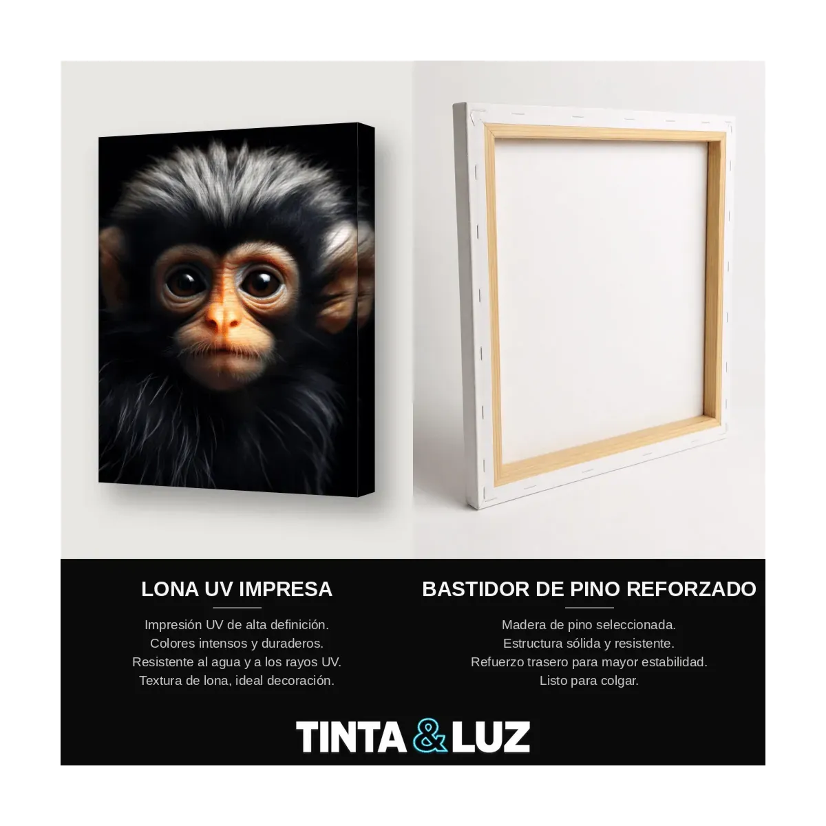TITÍ RETRATO