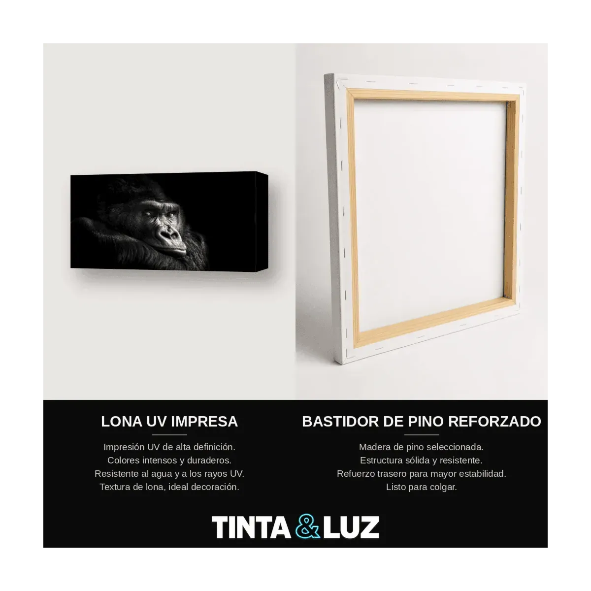 GORILA EN LA SOMBRA