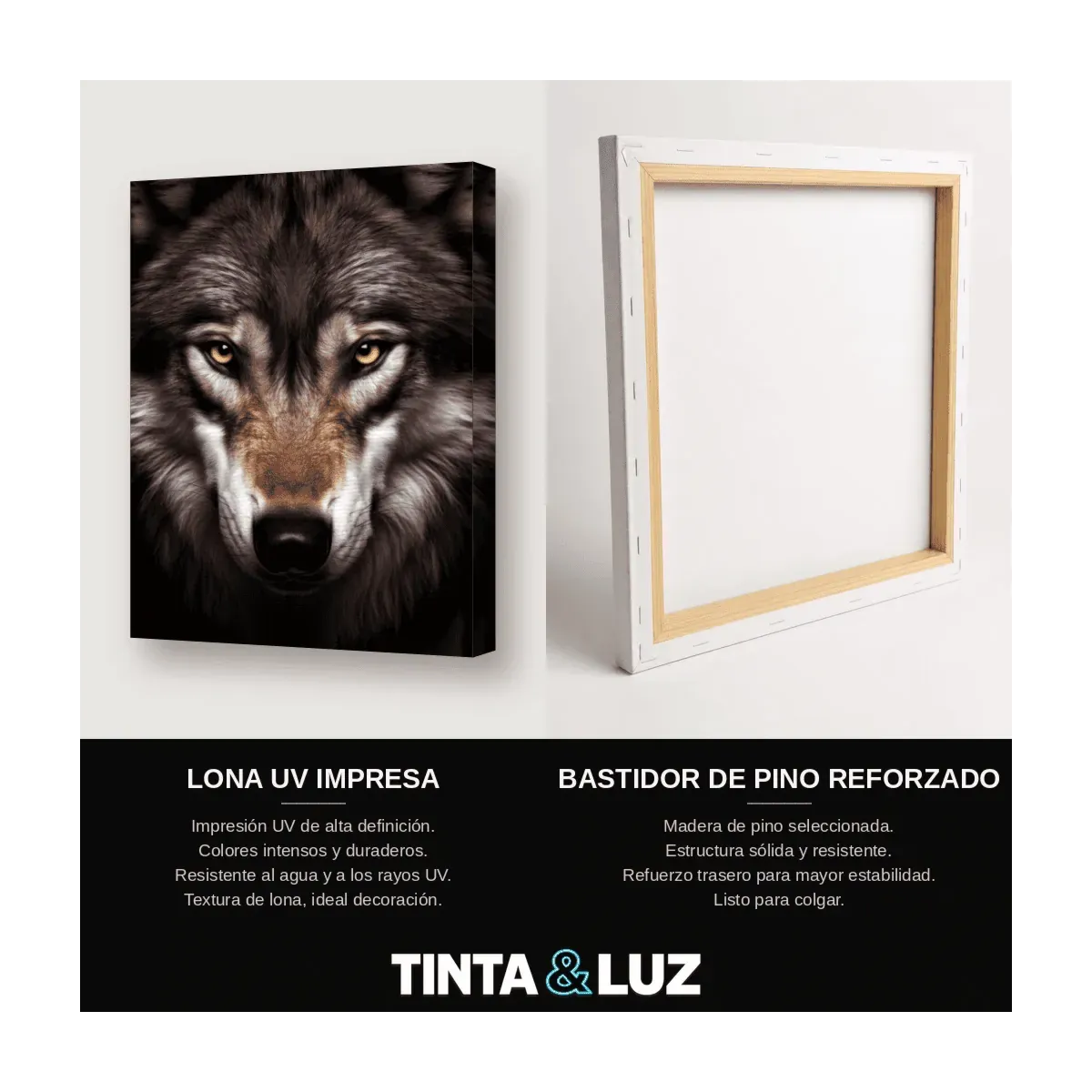 LOBO OSCURO