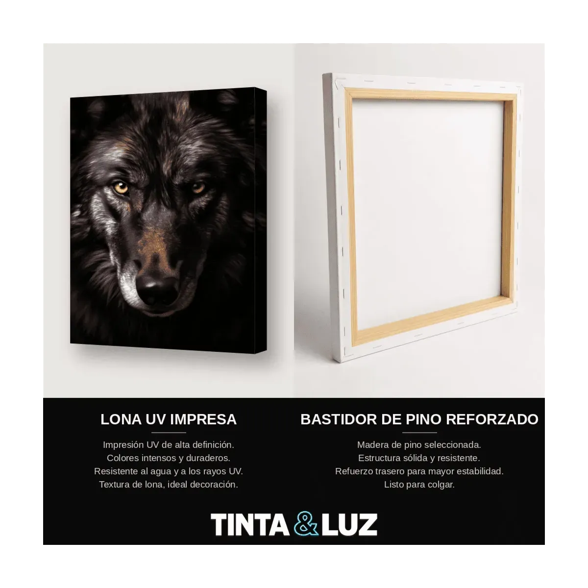 LOBO MIRADA