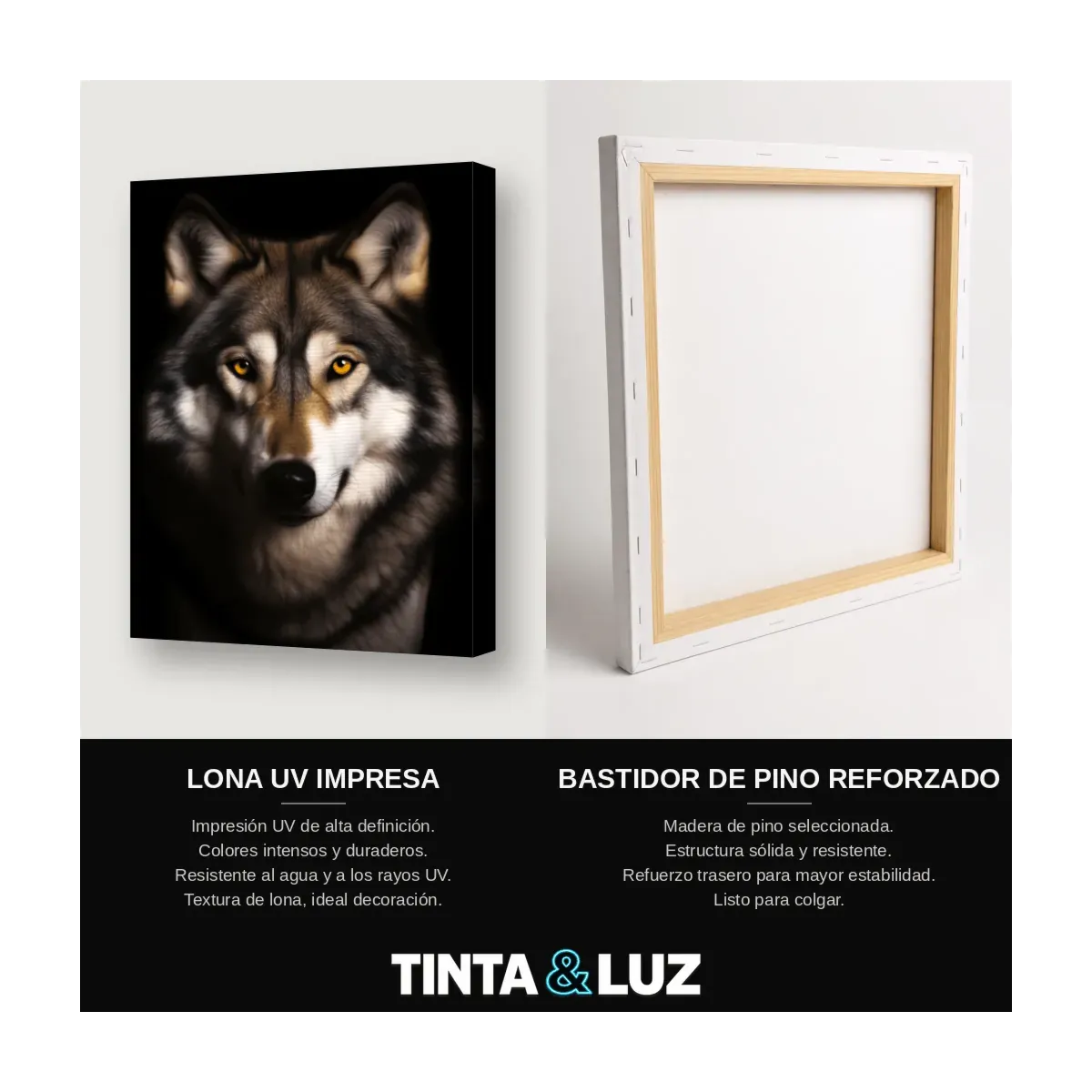 LOBO FRONTAL