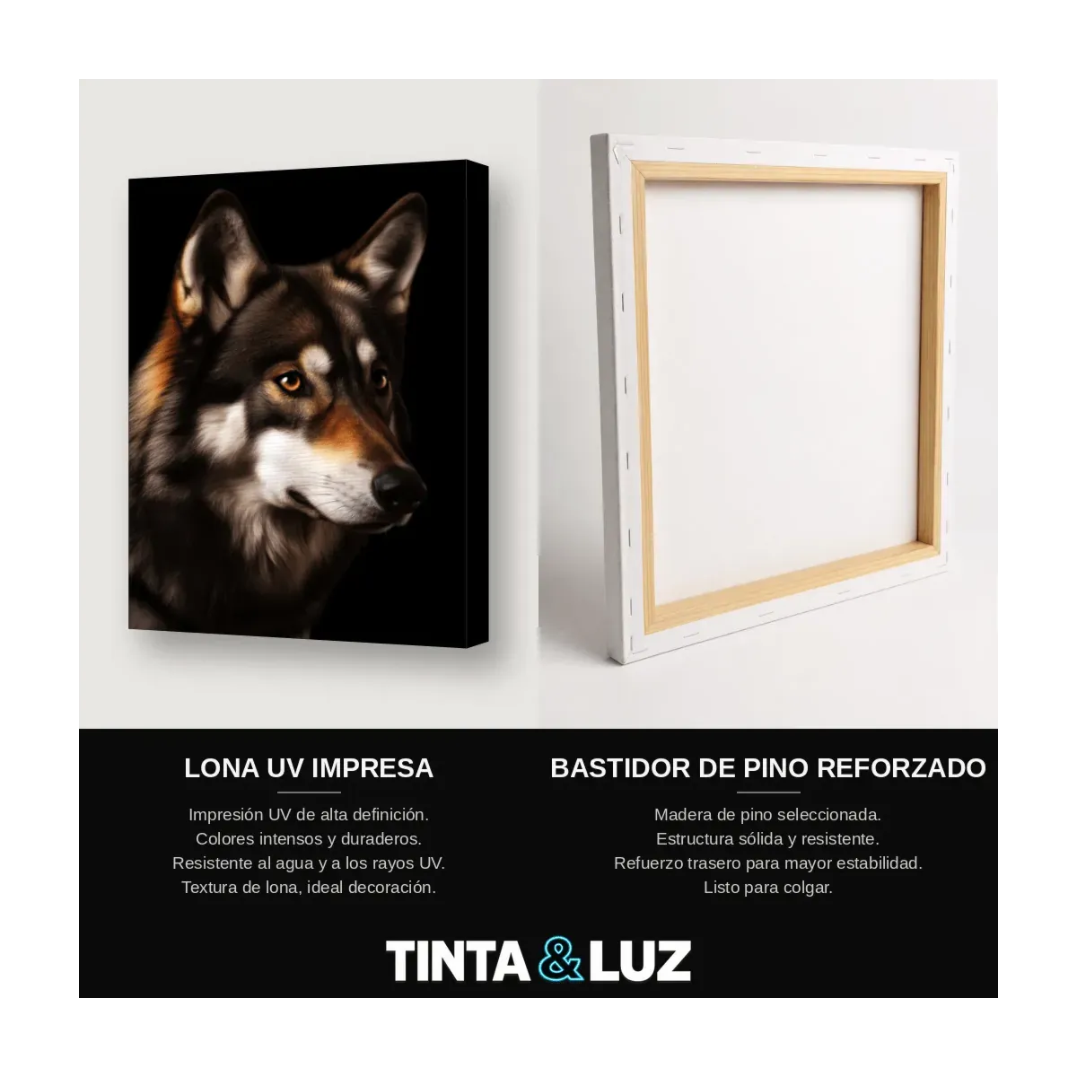 LOBO MAJESTUOSO