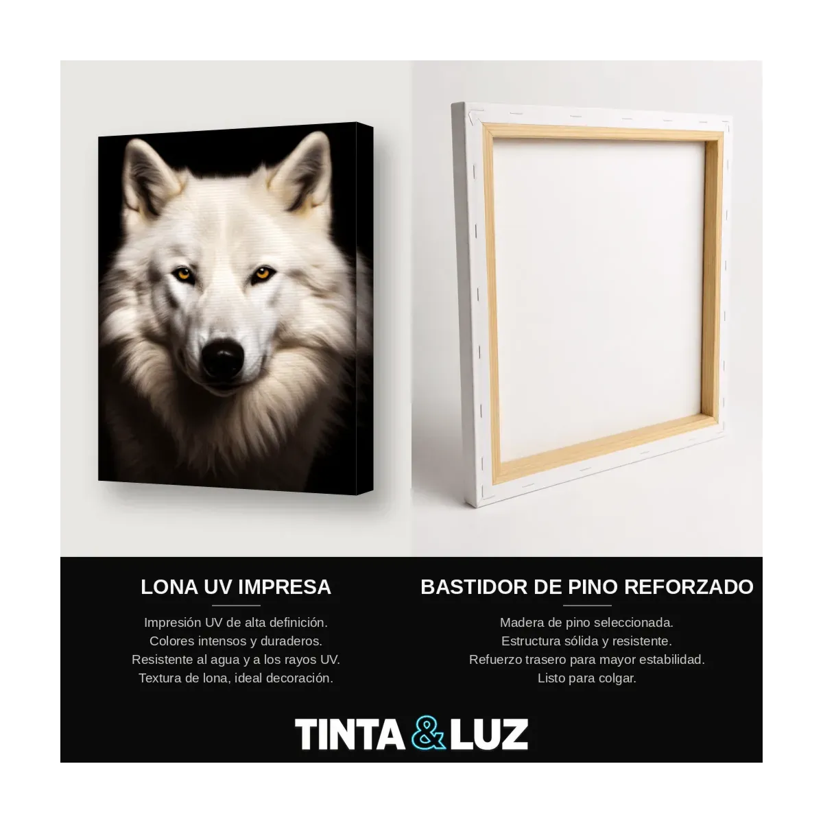 LOBO BLANCO MAJESTUOSO