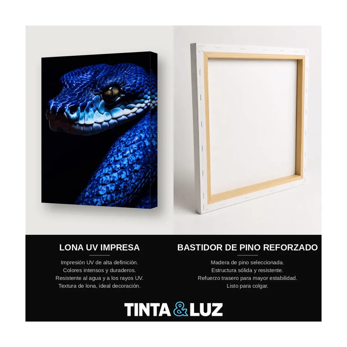 SERPIENTE AZUL