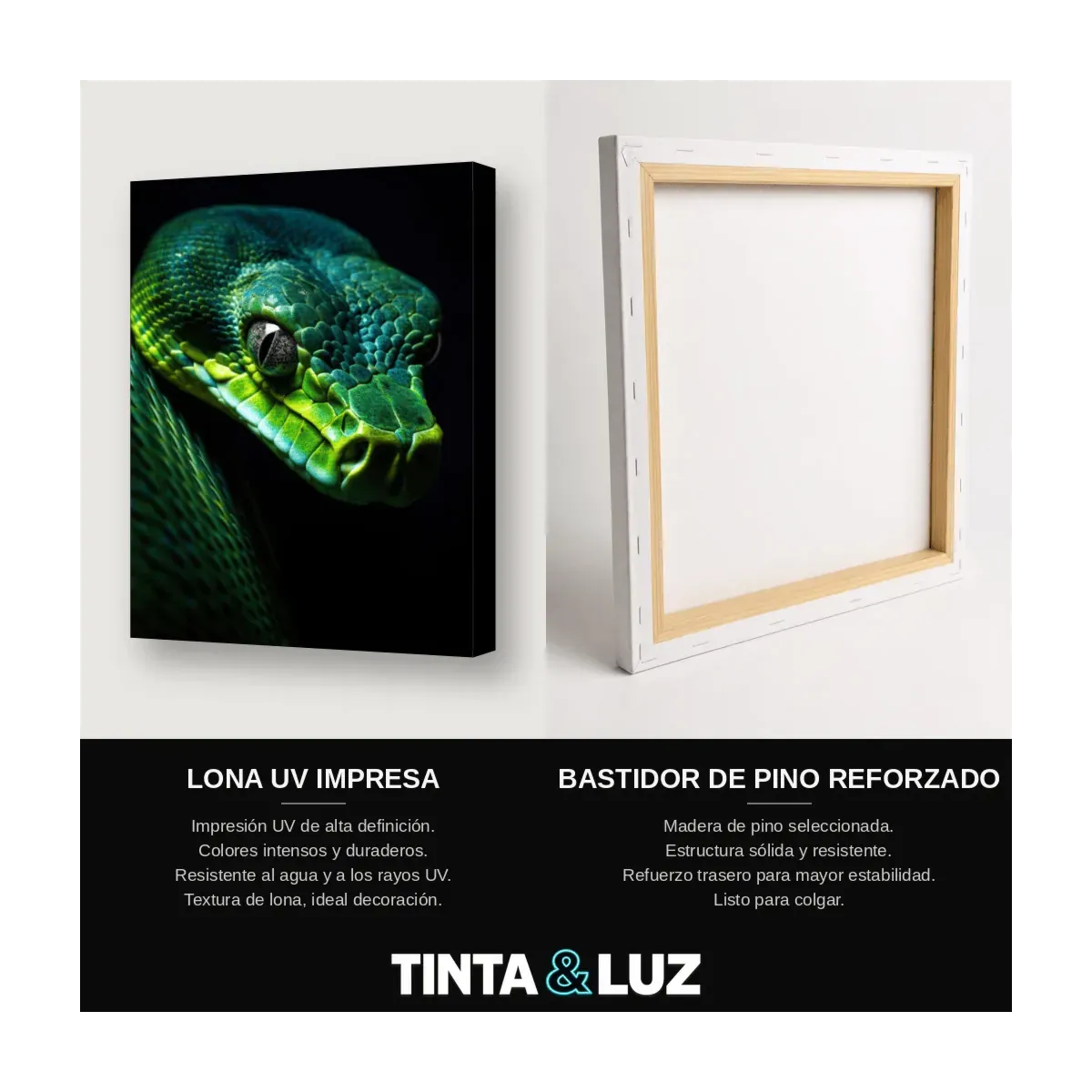 SERPIENTE VERDE