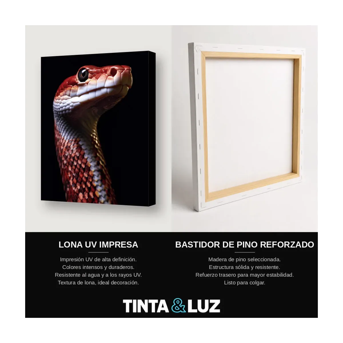 SERPIENTE ROJA II