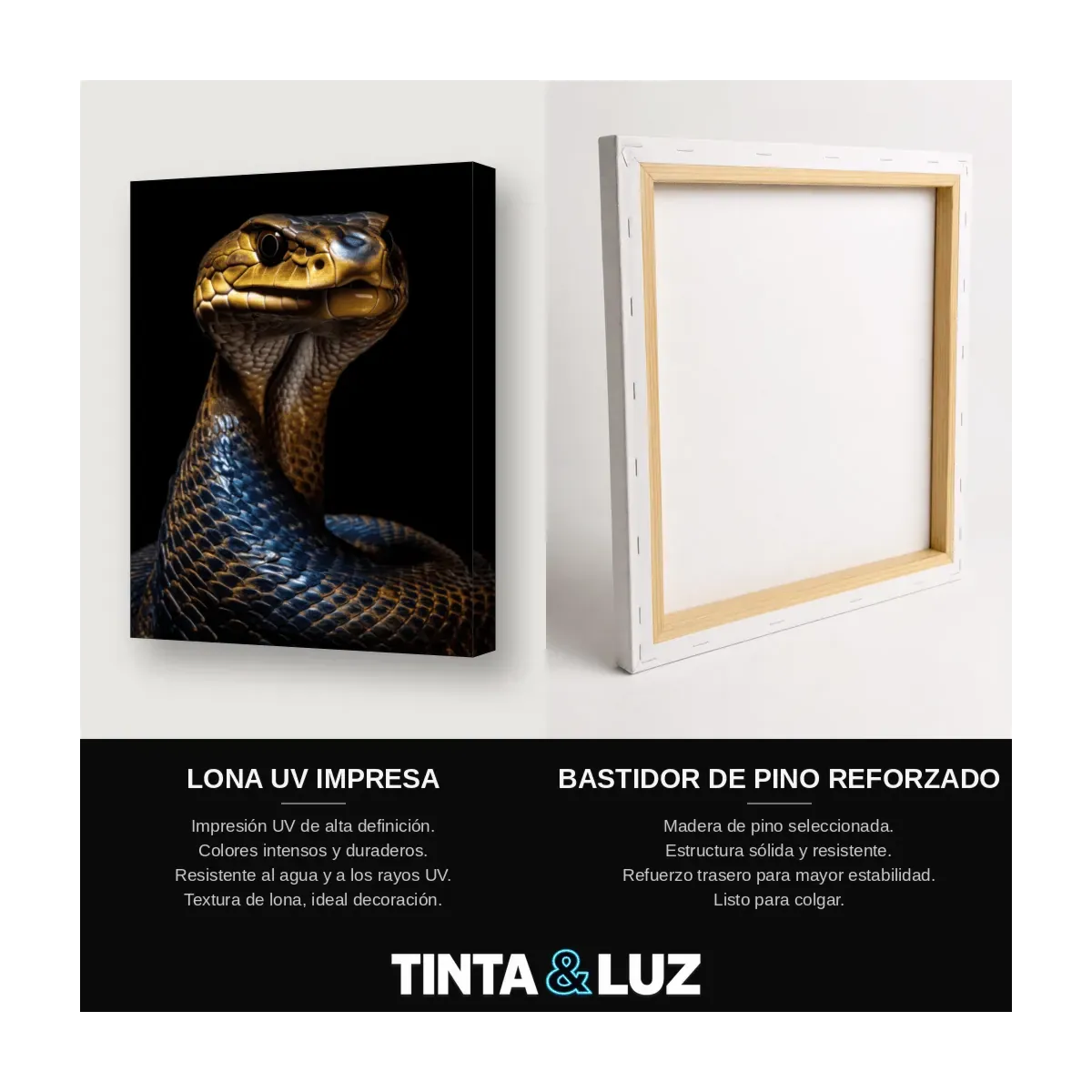 COBRA