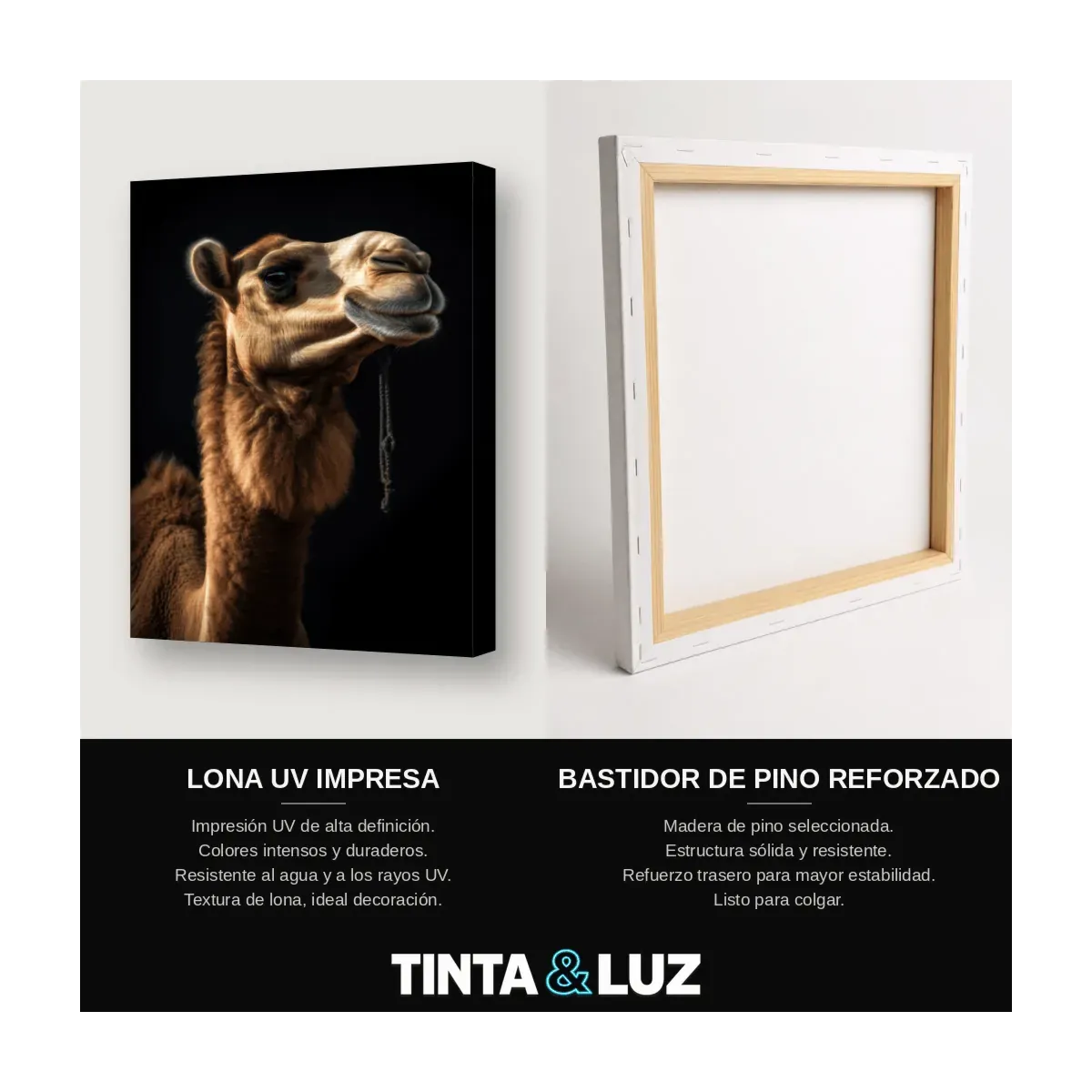 DROMEDARIO PERFIL