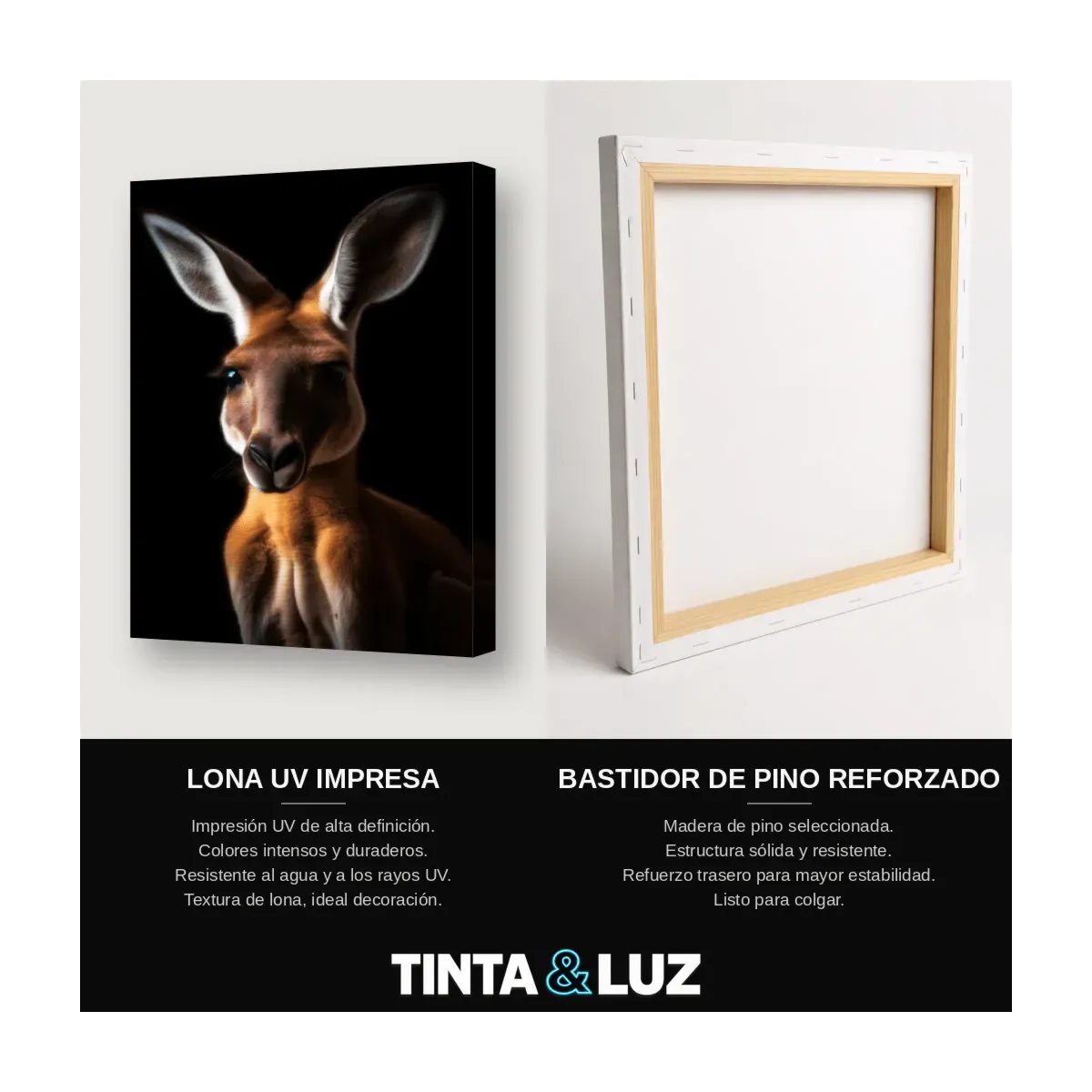 CANGURO PERFIL
