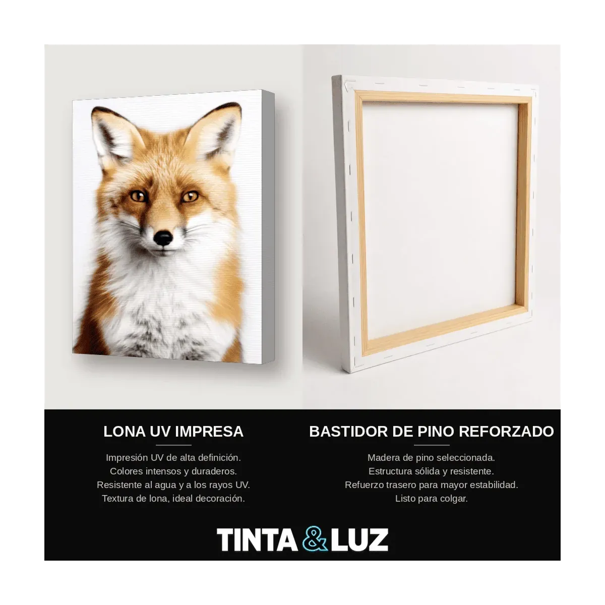 ZORRO ROJO