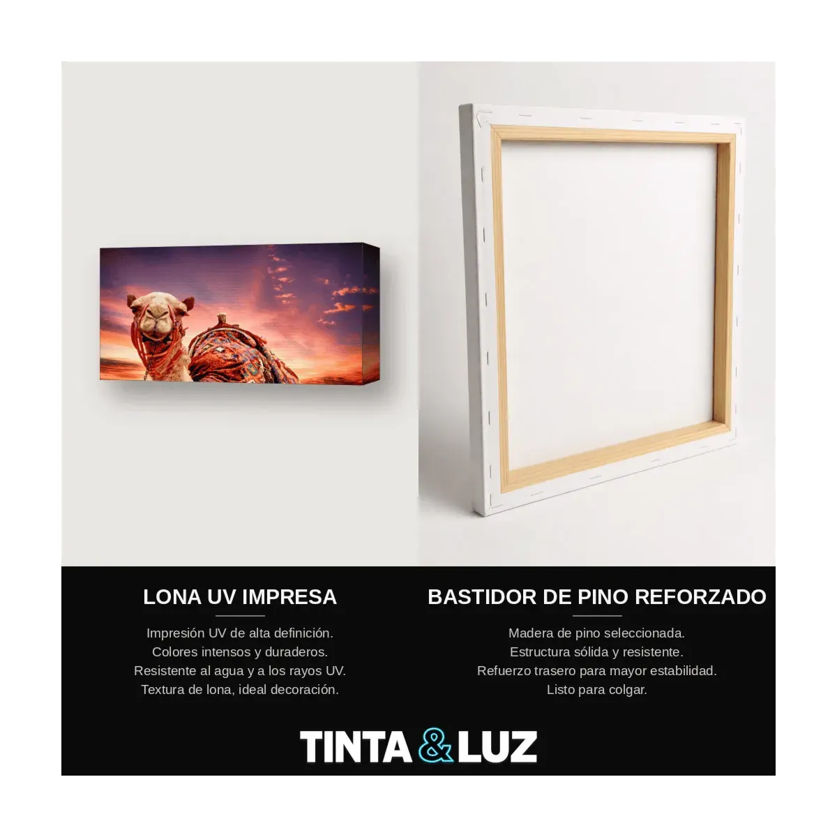 TIGRE ARTE