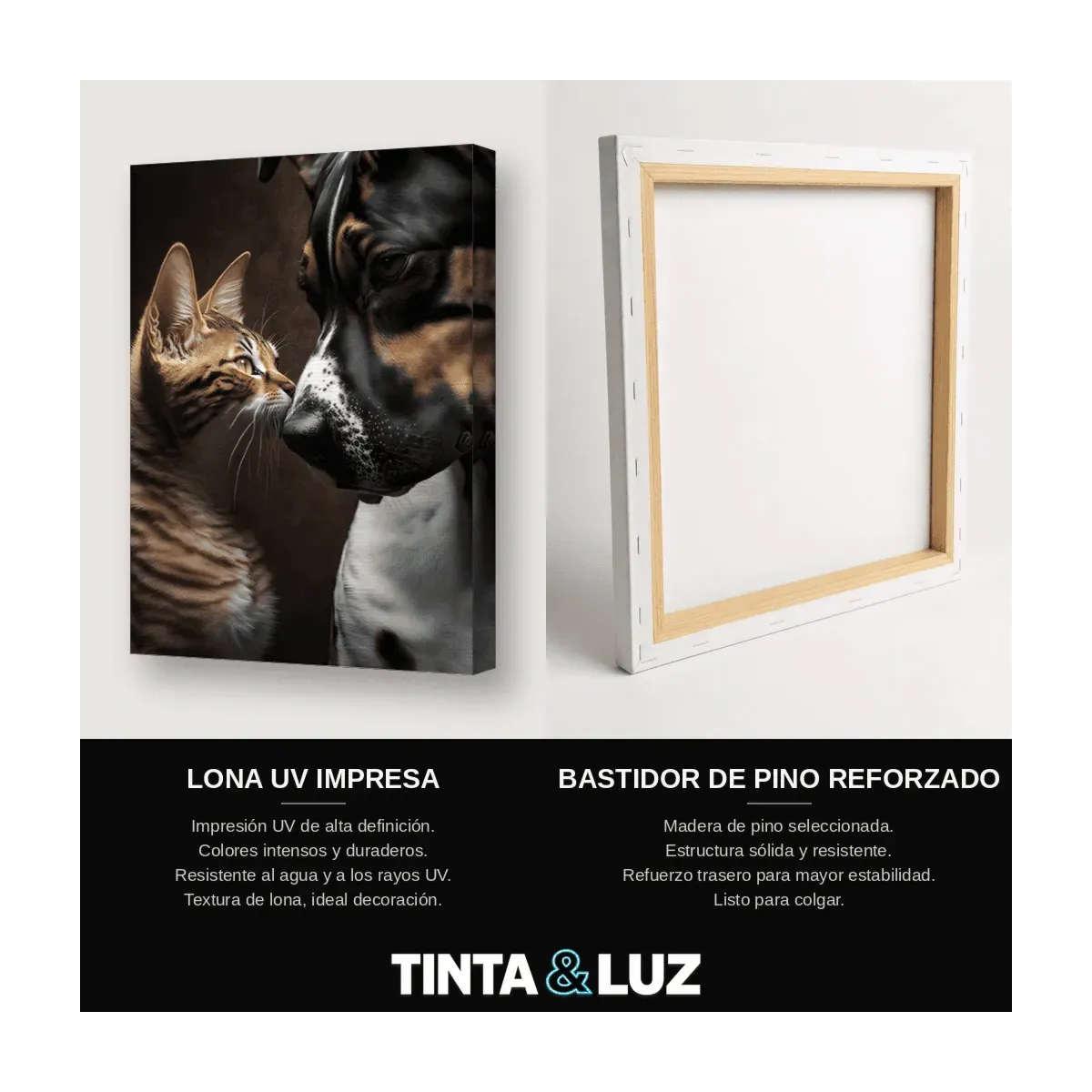 GATO ARTE B&N