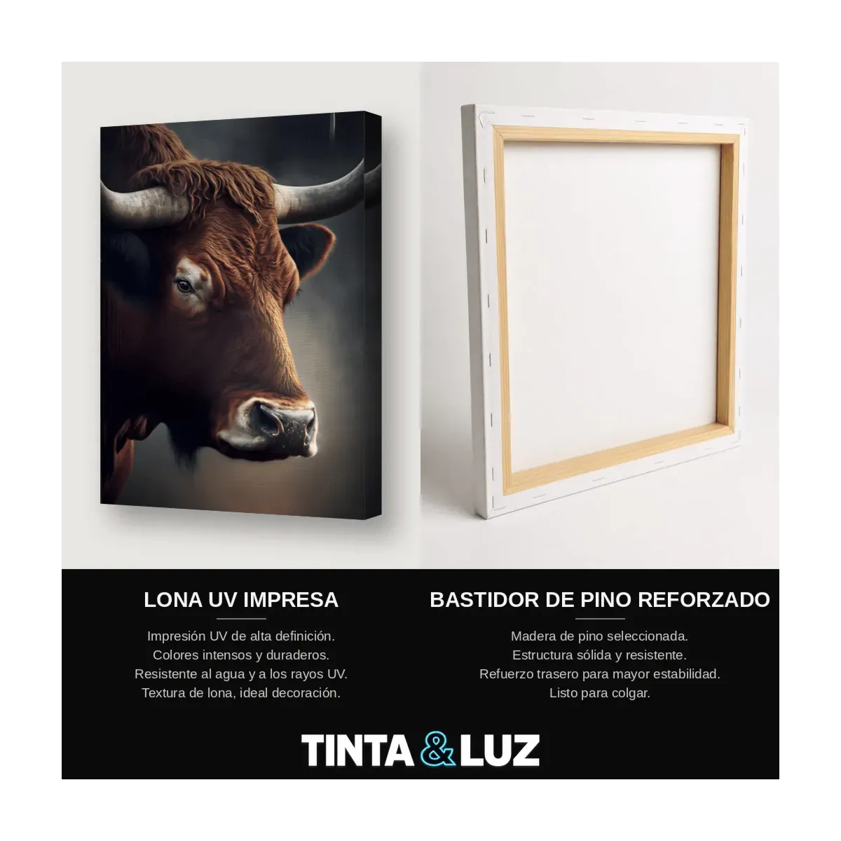 TORO ARTE