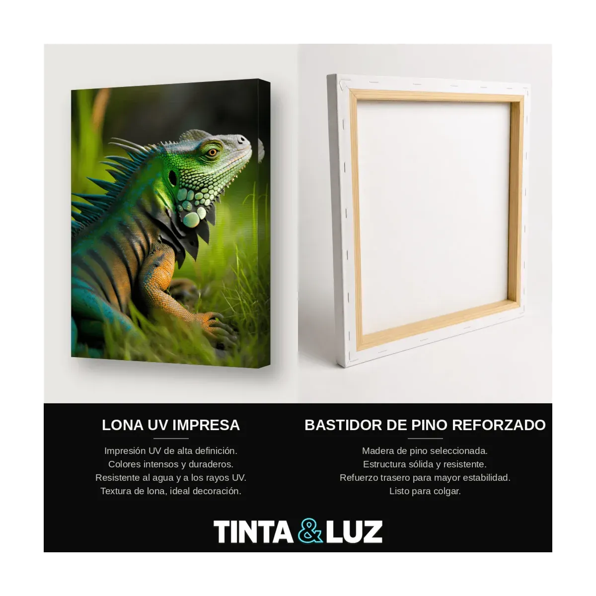 IGUANA VERDE